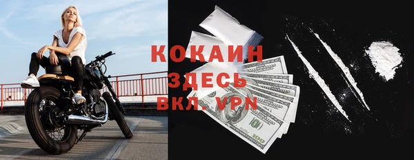 apvp Горняк