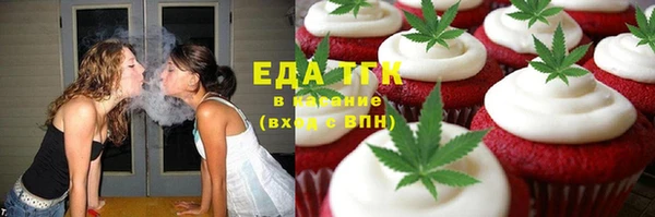 прущие грибы Гусев