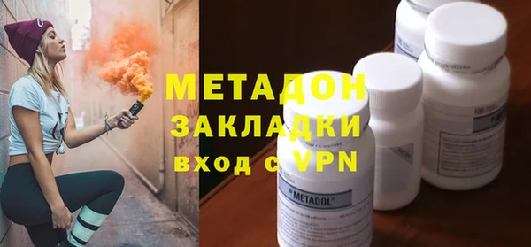 прущие грибы Гусев