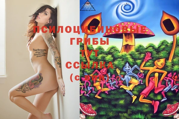 apvp Горняк
