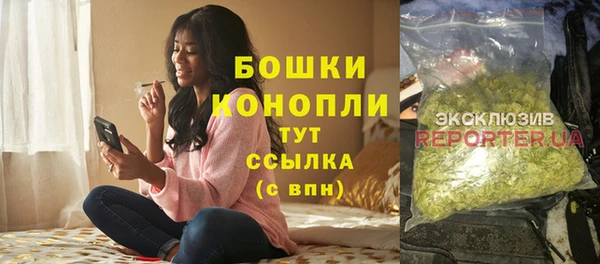 спиды Горно-Алтайск