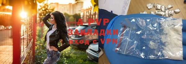 прущие грибы Гусев