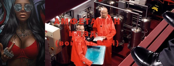 apvp Горняк